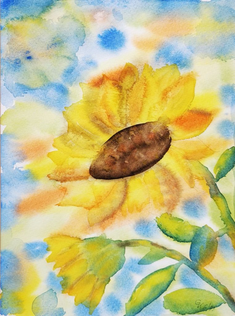 Sonnenblume, Kaschke